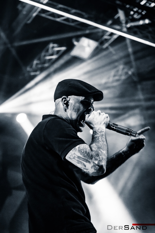 Dropkick_Murphys_2017-9247.jpg